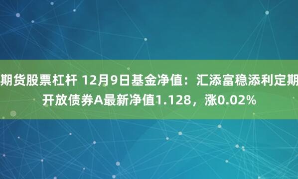 期货股票杠杆 12月9日基金净值：汇添富稳添利定期开放债券A最新净值1.128，涨0.02%