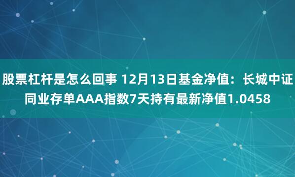 股票杠杆是怎么回事 12月13日基金净值：长城中证同业存单AAA指数7天持有最新净值1.0458