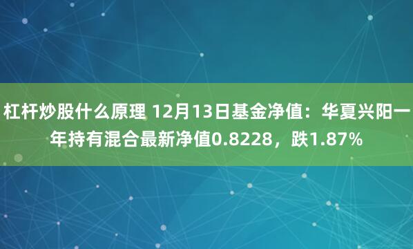 杠杆炒股什么原理 12月13日基金净值：华夏兴阳一年持有混合最新净值0.8228，跌1.87%