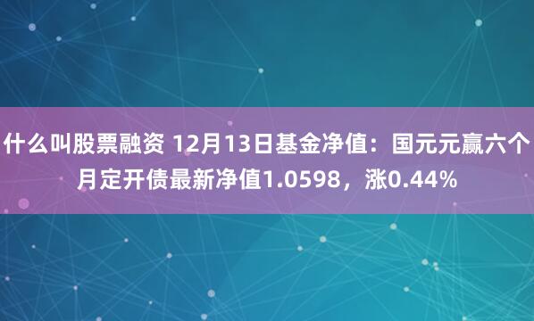 什么叫股票融资 12月13日基金净值：国元元赢六个月定开债最新净值1.0598，涨0.44%