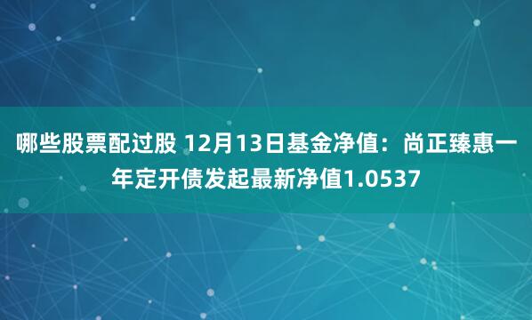 哪些股票配过股 12月13日基金净值：尚正臻惠一年定开债发起最新净值1.0537