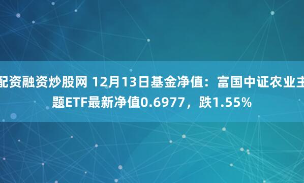 配资融资炒股网 12月13日基金净值：富国中证农业主题ETF最新净值0.6977，跌1.55%