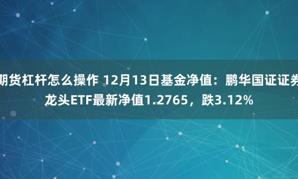 期货杠杆怎么操作 12月13日基金净值：鹏华国证证券龙头ETF最新净值1.2765，跌3.12%