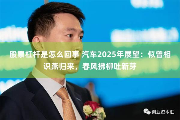 股票杠杆是怎么回事 汽车2025年展望：似曾相识燕归来，春风拂柳吐新芽